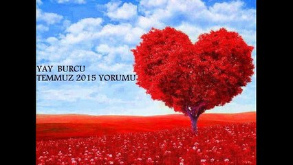 Yay Burcu Temmuz 2015 Aylık Burç Yorumu