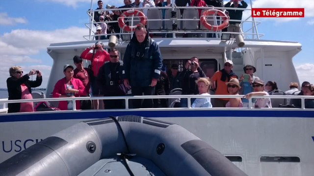 Golfe du Morbihan. Vitesse : les AffMar à l'abordage