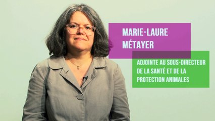 La stratégie nationale pour le bien-être des animaux