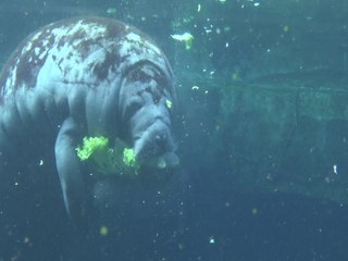 Histoires d'eau : L’océan, promesse d'avenir !