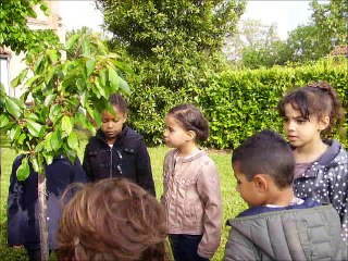 Ecoles Fleuries 2015-2016