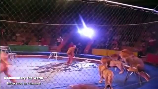 Animals in the forest and Cages