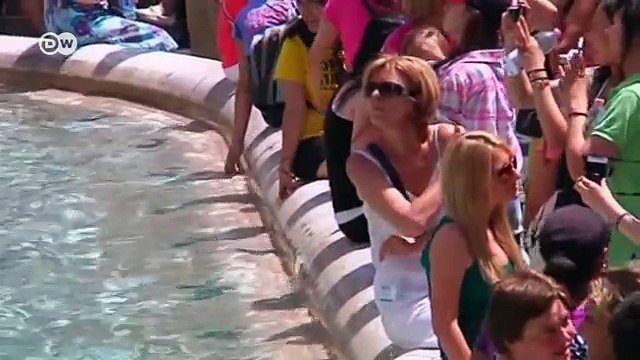 Considered to be the most endangered of all sea turtles, the Kemp's ridley turtle is also one of the smallest, weighing less than 45 kilograms as an adult and only growing up to about 70 centimetres in length.