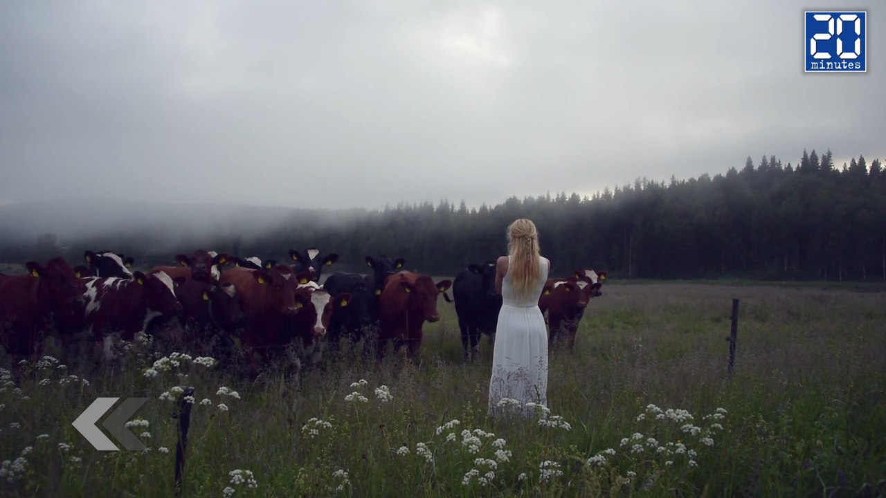 Elle rassemble les vaches en chantant ! - Le rewind du jeudi 30 juin 2016.