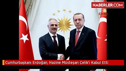 Cumhurbaşkanı Erdoğan, Hazine Müsteşarı Çelik'i Kabul Etti