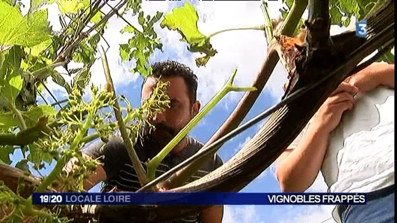 France 3  Loire - 27 juin 2016