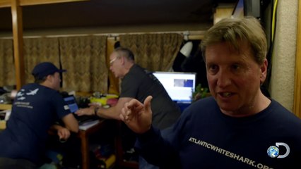 Great White Naps for First Time on Camera