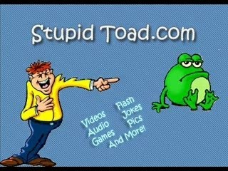 Rally Car Takes a Spill