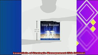 behold  Essentials of Strategic Management 5th Edition