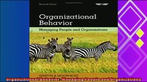 behold  Organizational Behavior Managing People and Organizations