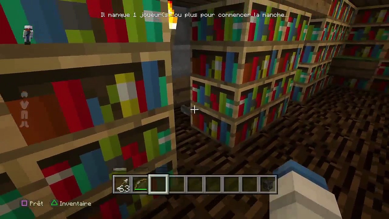 Minecraft arene 5 secret (78)