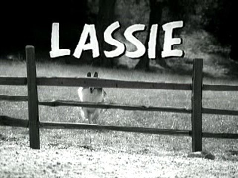The Dog Lassie - Security Technologies | Funny Video | Funny Clips