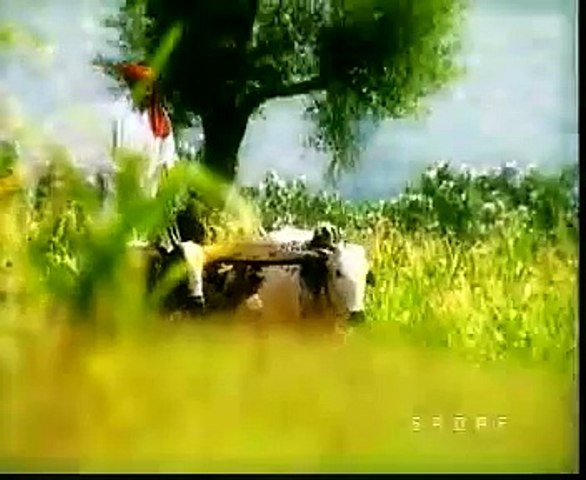har gayee-shehzad roy