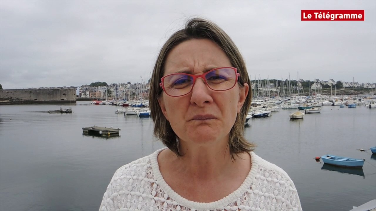 Concarneau. Les sardines envahissent la ville