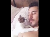 Cute Kitten Wants All the Kisses