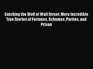 Read Catching the Wolf of Wall Street: More Incredible True Stories of Fortunes Schemes Parties