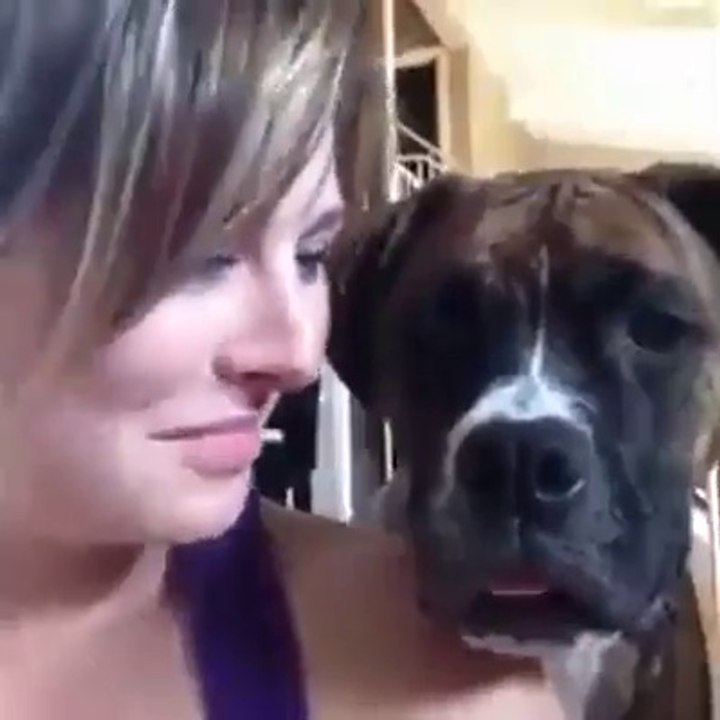 chien imite propriétaire