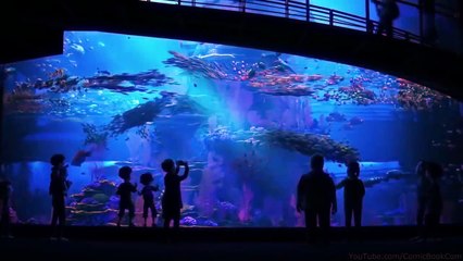 FINDING DORY - Official International Trailer #5 (2016) Disney Pixar Animated Movie HD