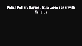 Most PopularPolish Pottery Harvest Extra Large Baker with Handles