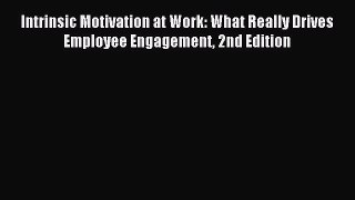 Read Intrinsic Motivation at Work: What Really Drives Employee Engagement 2nd Edition Ebook