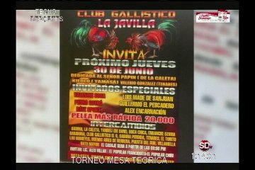 Programa-TECNODEPORTES-27-6-2016-Resumen-Torneo-Mesa-Teorica-Col.Sto.Dgo por Manuel Perello.