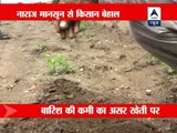 Farmers worried over weak monsoon