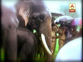 Mamata visits Gorumara sanctuary