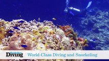 World's Best Diving: Pro Dive International