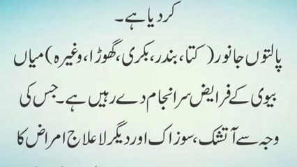 Jima With Animal    سیکس جانوروں کے ساتھ