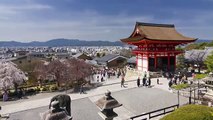 Japan's Top 5 Temples and Gardens