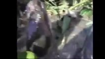Giant Anaconda   World's biggest python snake found in Amazon river - Largest snake longest python