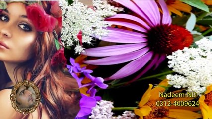 Dil Mera Churaya Kyun In Full HD