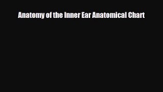 Download Anatomy of the Inner Ear Anatomical Chart PDF Online