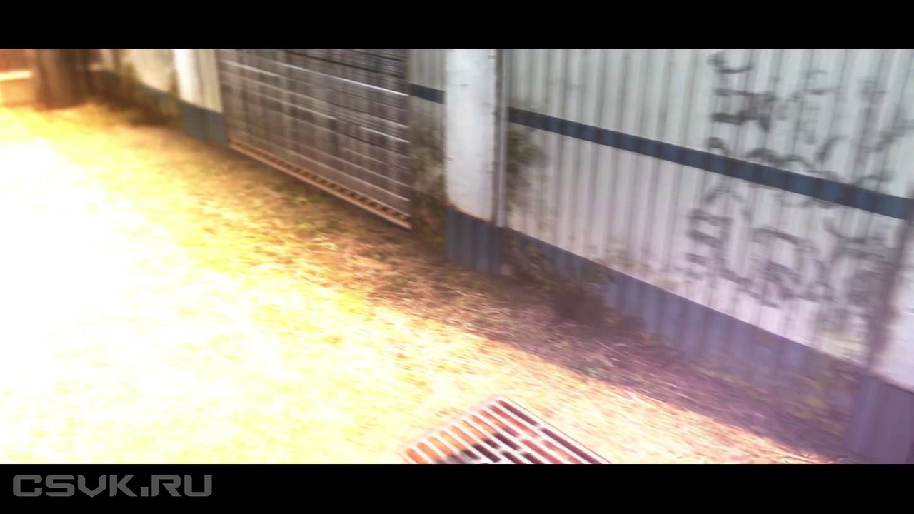 LOVE IS... 2 #CSGO