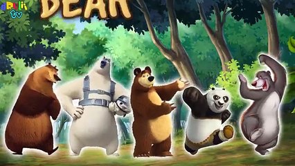 Finger Family Bear | Cartoon & Real Animals song for children