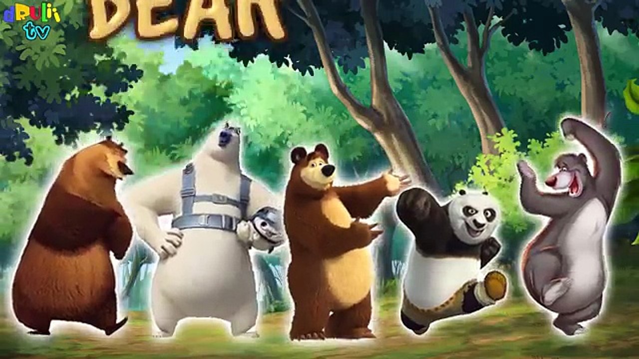 Finger Family Bear | Cartoon & Real Animals song for children