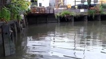 Gowanus Canal during flash flood warning, 7/15/14 Pt 2