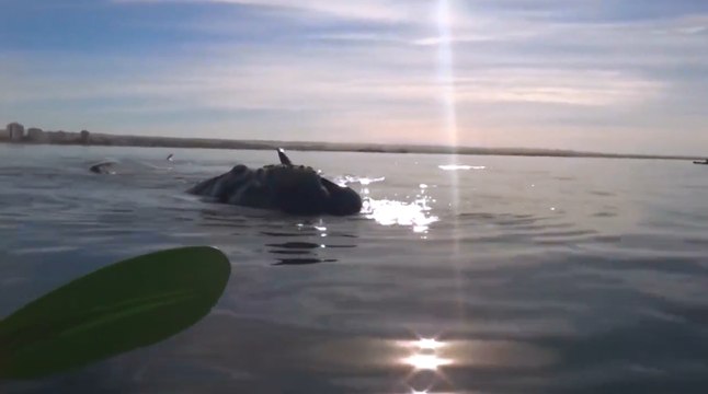 Такое бывает раз в жизни, и то не у всех )) Смотрите это вас удивит!