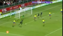 Cristiano Ronaldo GOAL   22 meters , Portugal-Ecuador 1-1