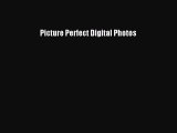 Download Picture Perfect Digital Photos PDF Free