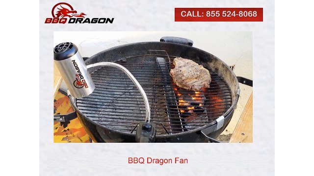 BBQ Dragon Fan