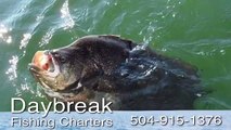 Daybreak Fishing Charters | Fishing Trips For Up to 4 People Aboard 24 Ft Triton in New Orleans, LA