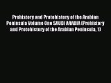 Download Books Prehistory and Protohistory of the Arabian Peninsula Volume One SAUDI ARABIA