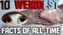 10 unknown WEIRD facts