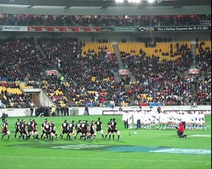 Haka Match All Blacks - France in Wellington - 22 June 2009