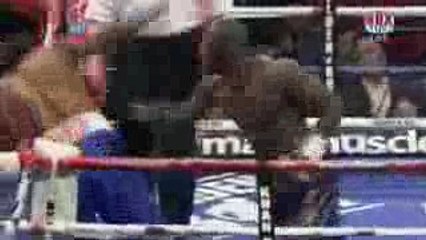 Deontay Wilder Highlights 2016 - Best heavyweight prospect
