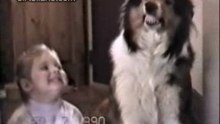 Dog Smile