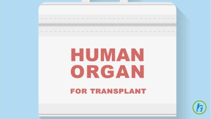 What is Kidney Transplant?
