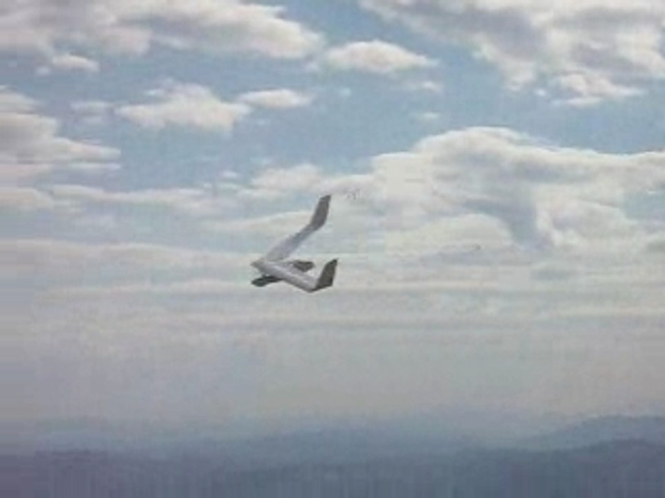 Le-swift-jouant-dans-le-vent-en-wing-over