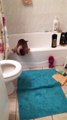 Ce chien galère pour grimper dans la baignoire.. Prudent ? LOL